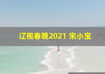 辽视春晚2021 宋小宝